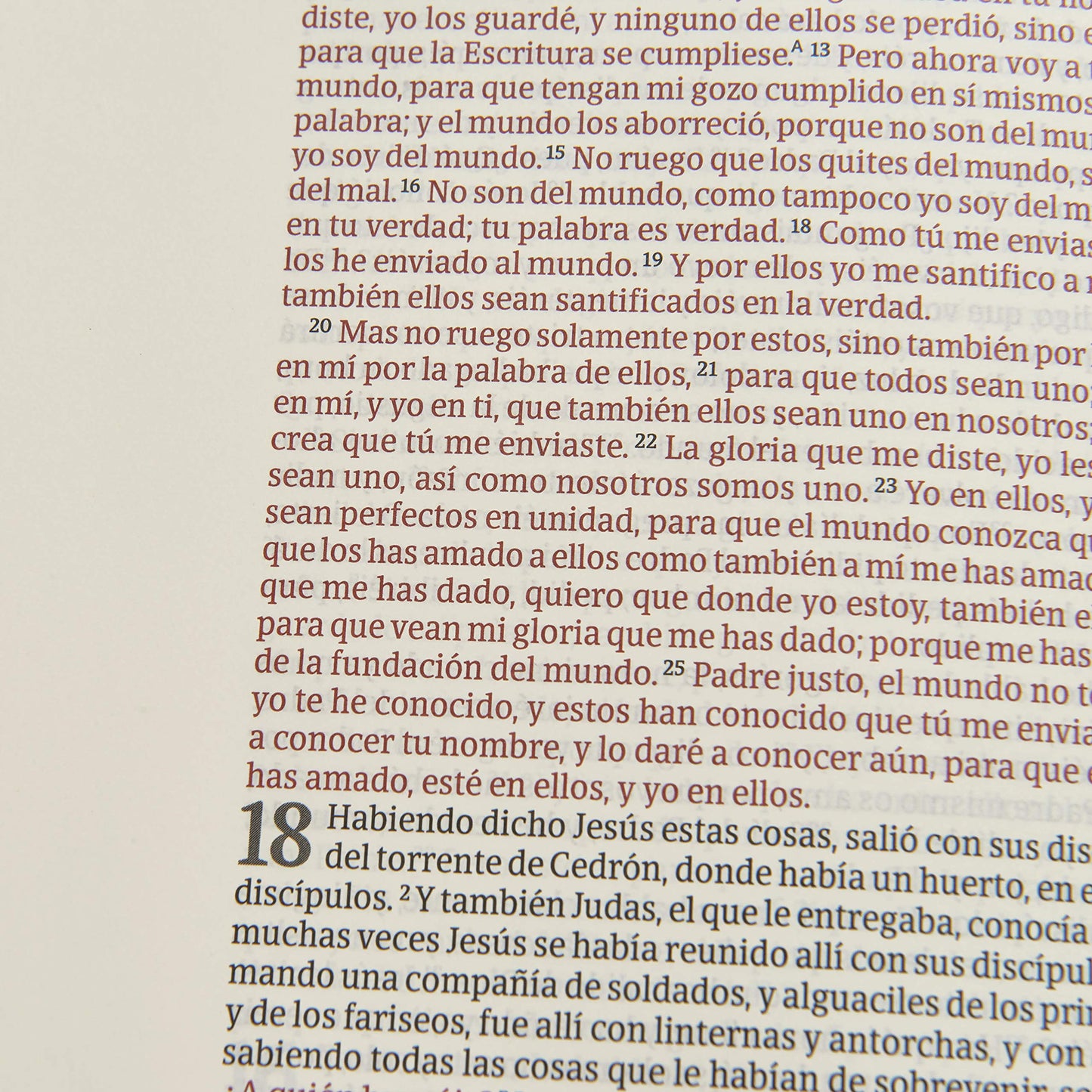 Spanish Large Print Bible