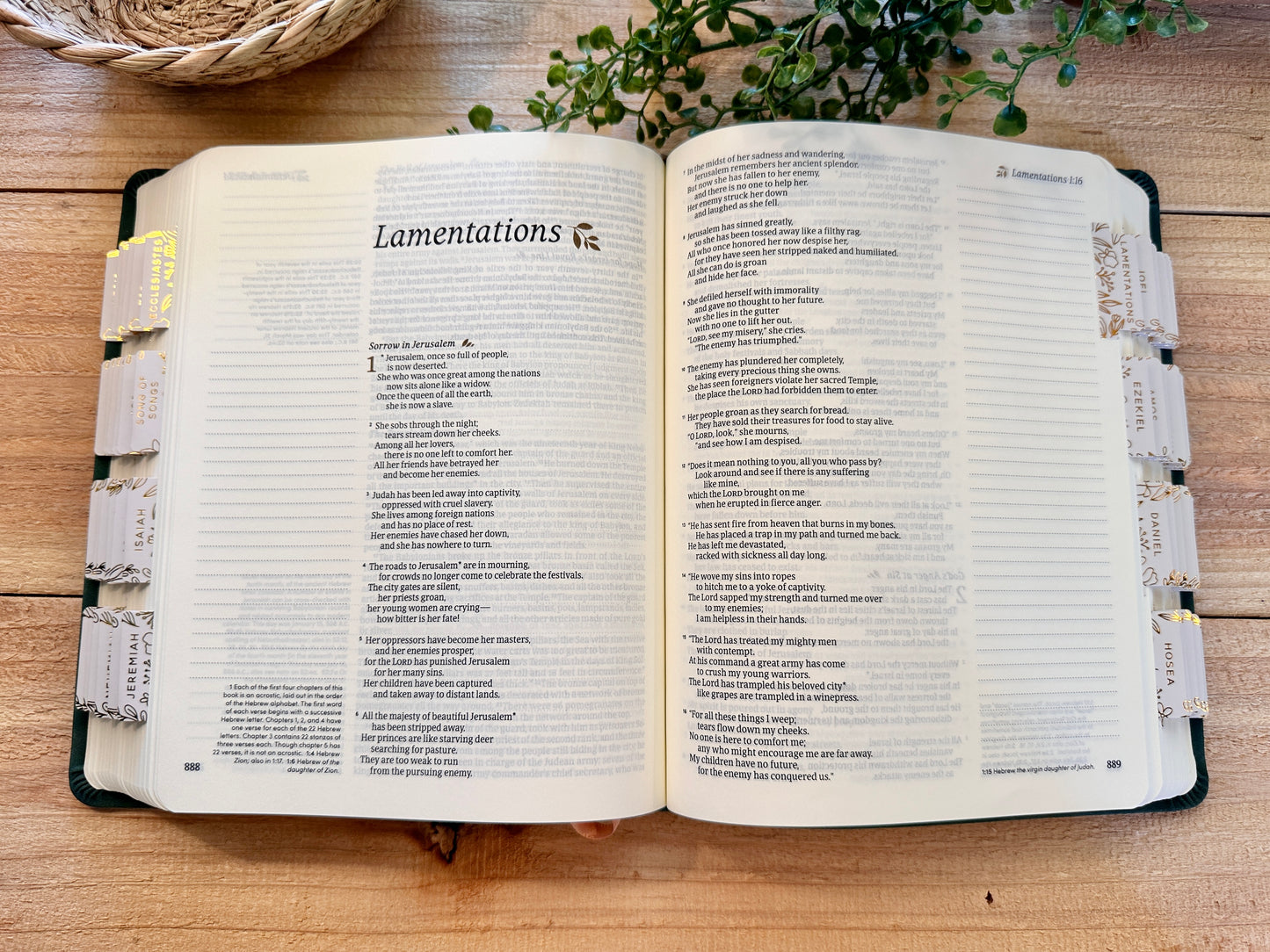 NLT Hosanna Journal Bible- Evergreen