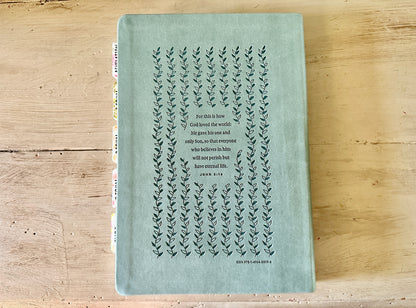 NLT Teal Bible