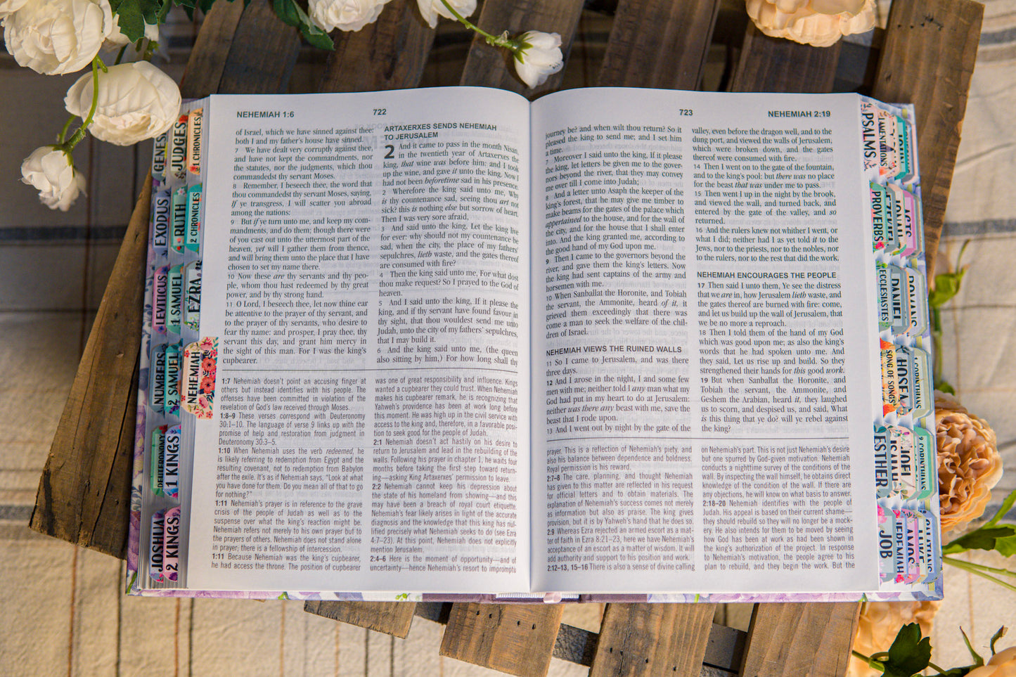 KJV Hummingbird Study Bible