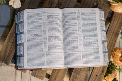 KJV Grey Study Bible